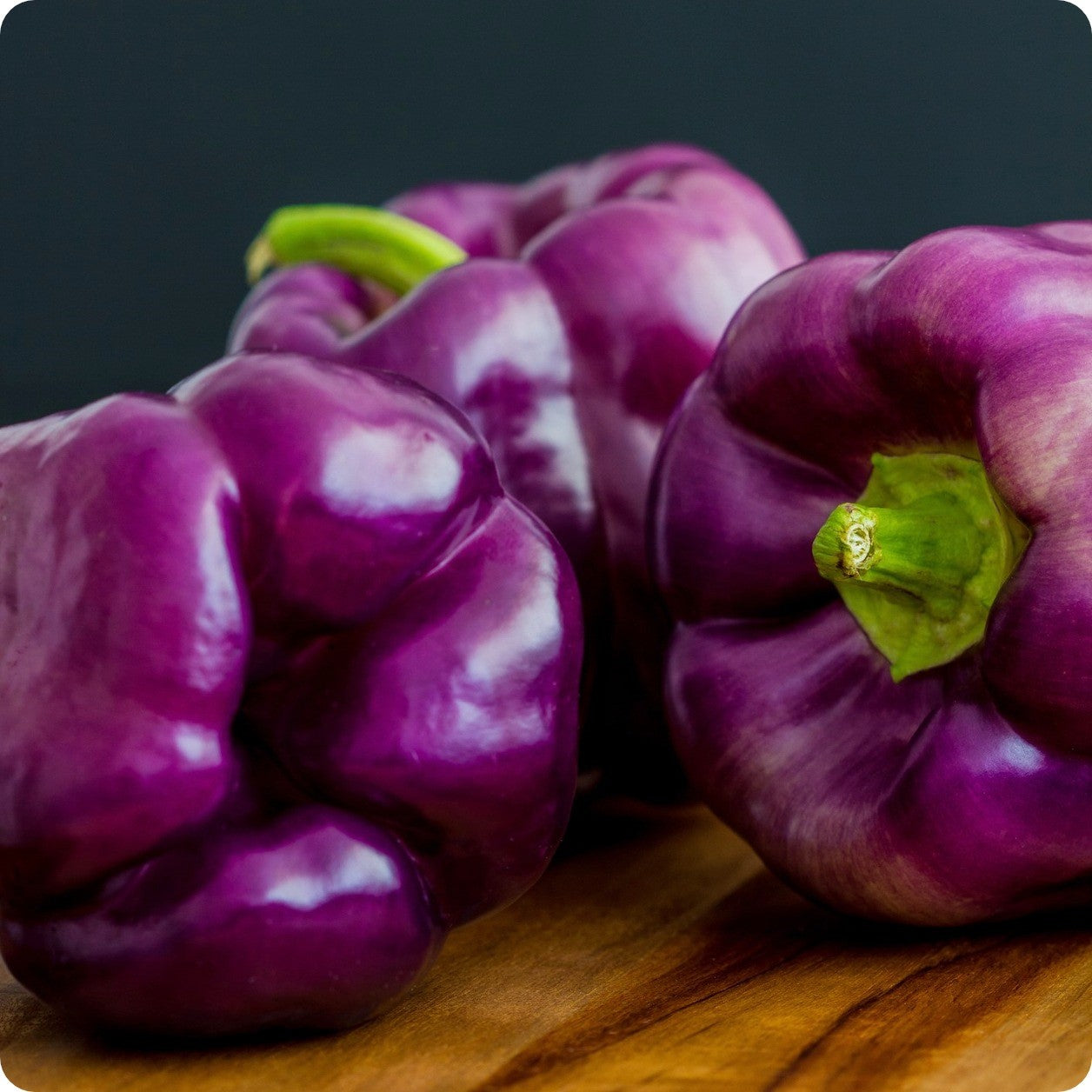 Lilac Bell Sweet Pepper Seeds – The Incredible Seed Company Ltd