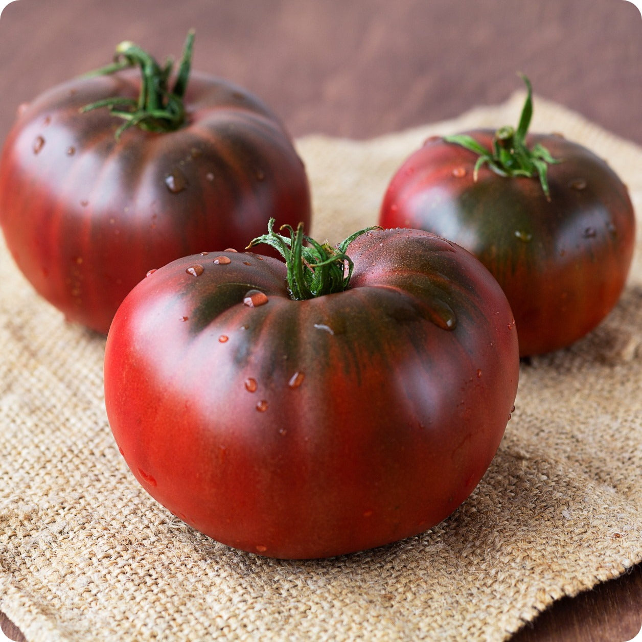 Tomato Seeds-black Brandywine Tomato 20 Vegetable Seeds Large